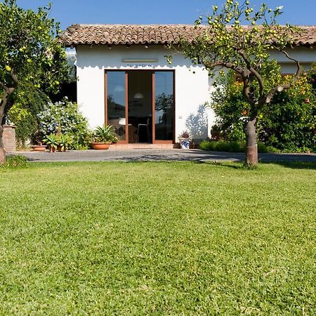 Вилла Orange Park - Agriturismo Мистербьянко Экстерьер фото